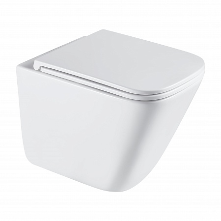 Подвесной унитаз безободковый Terminus Ватикан Monolit 490х340 белый Балашов - фото 2