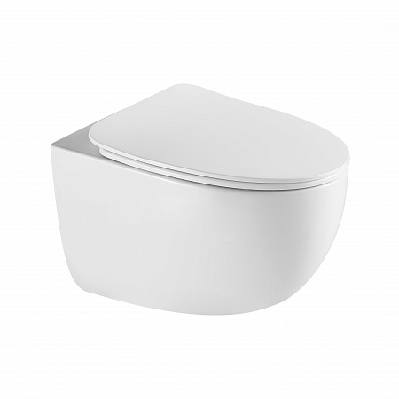 Подвесной унитаз безободковый Terminus Енисей Monolit 560х390 белый Балашов - фото 2