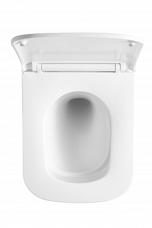 Подвесной унитаз безободковый Terminus Ватикан Monolit 490х340 белый Балашов - фото 3